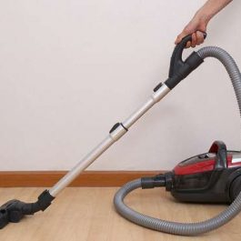 Máy hút bụi Electrolux ZAP9940