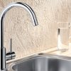 Ảnh Vòi rửa bát Blanco MIDA Chrome